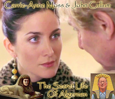 Photo of The Secret Life Of Algernon