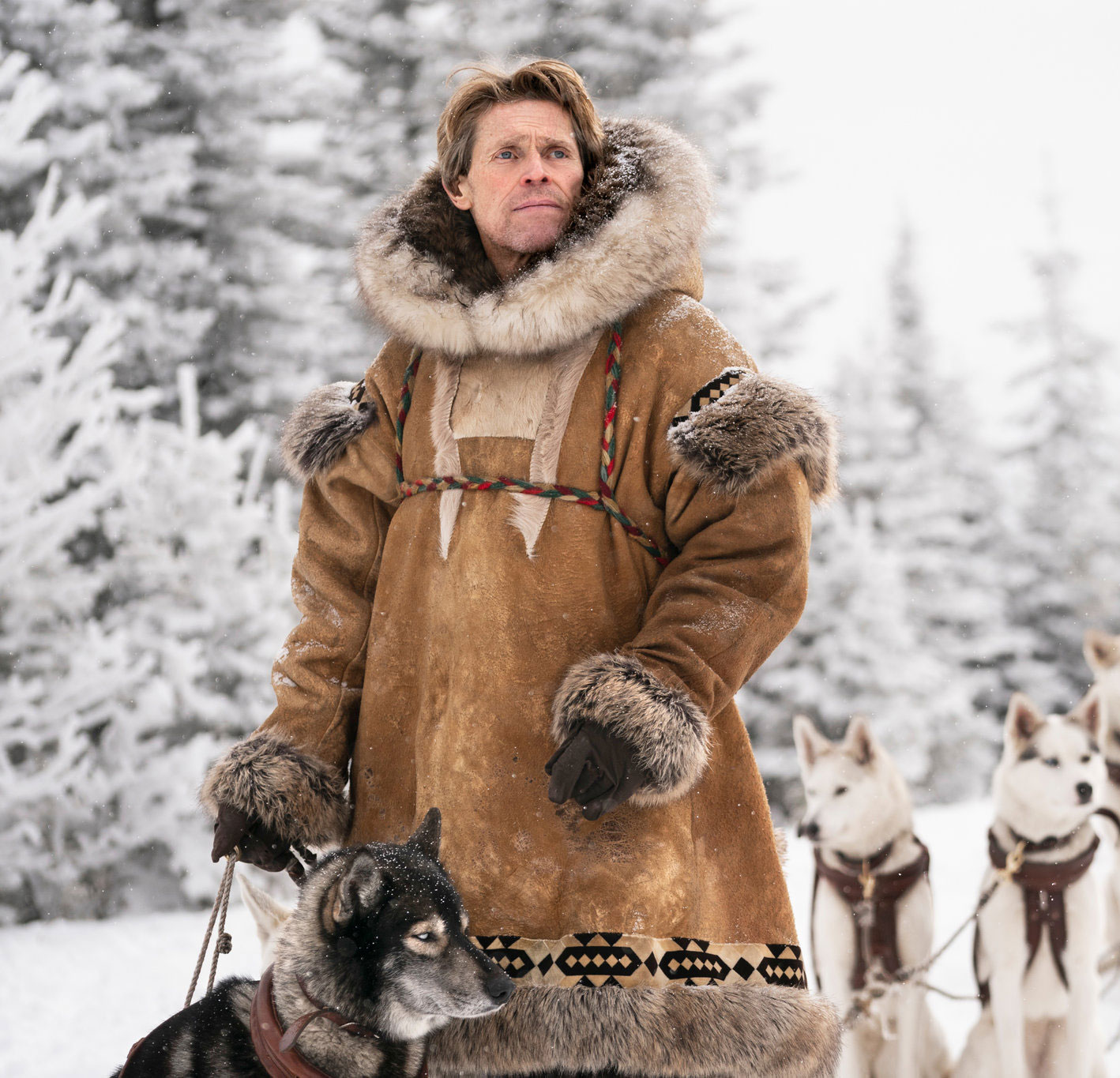 Photo of the 2019 movie Togo featuring Willem Dafoe and sled dogs